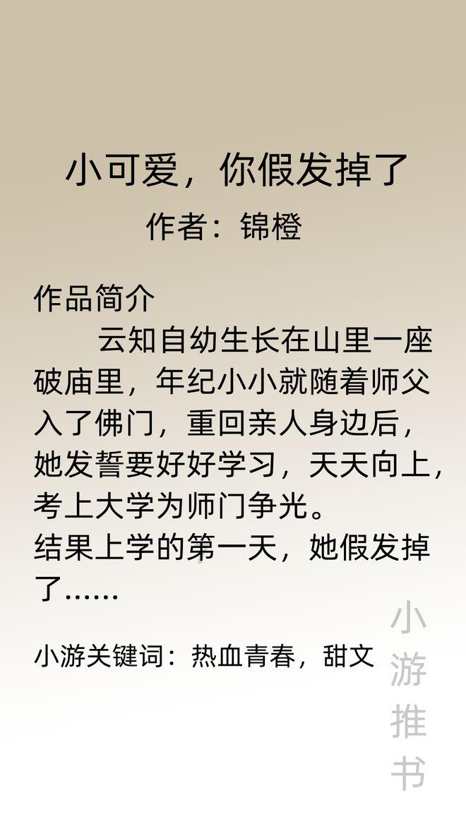 海口琼山警方破获3起商铺盗窃案