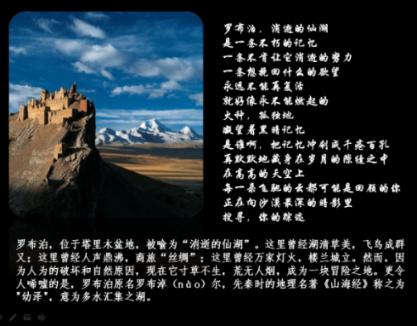 荣耀Magic 6系列实现全天候全屏熄屏
