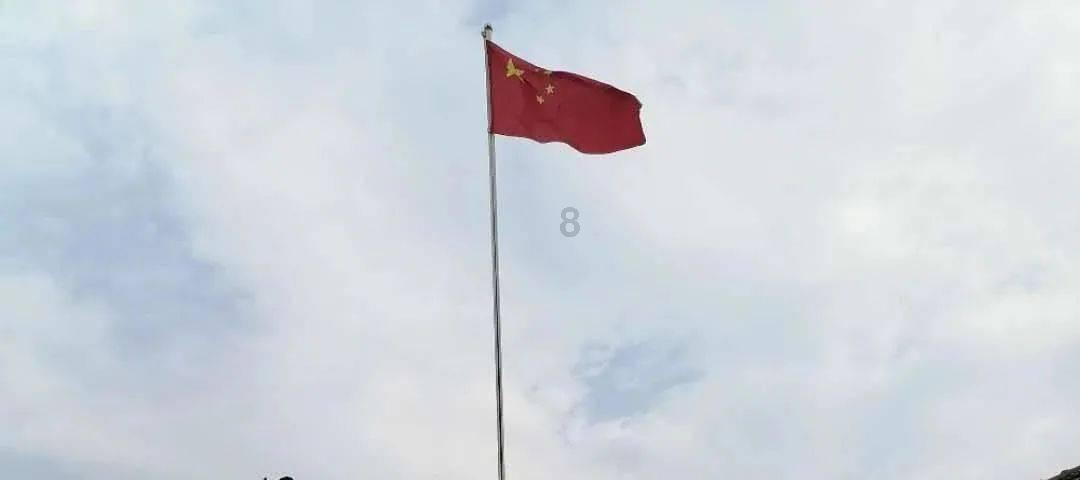 小鸡要回家